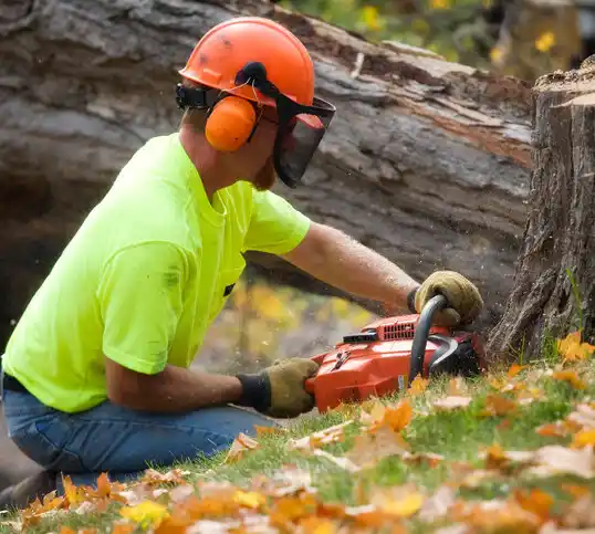 tree services West Salem